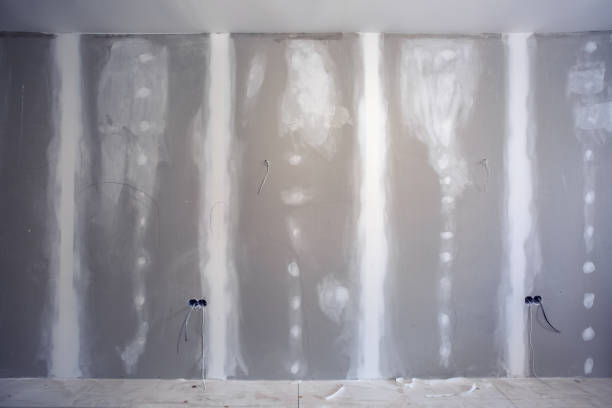 Best Mold Damage Restoration  in USA